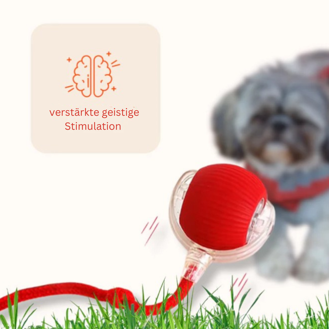 Interaktiver Hundeball