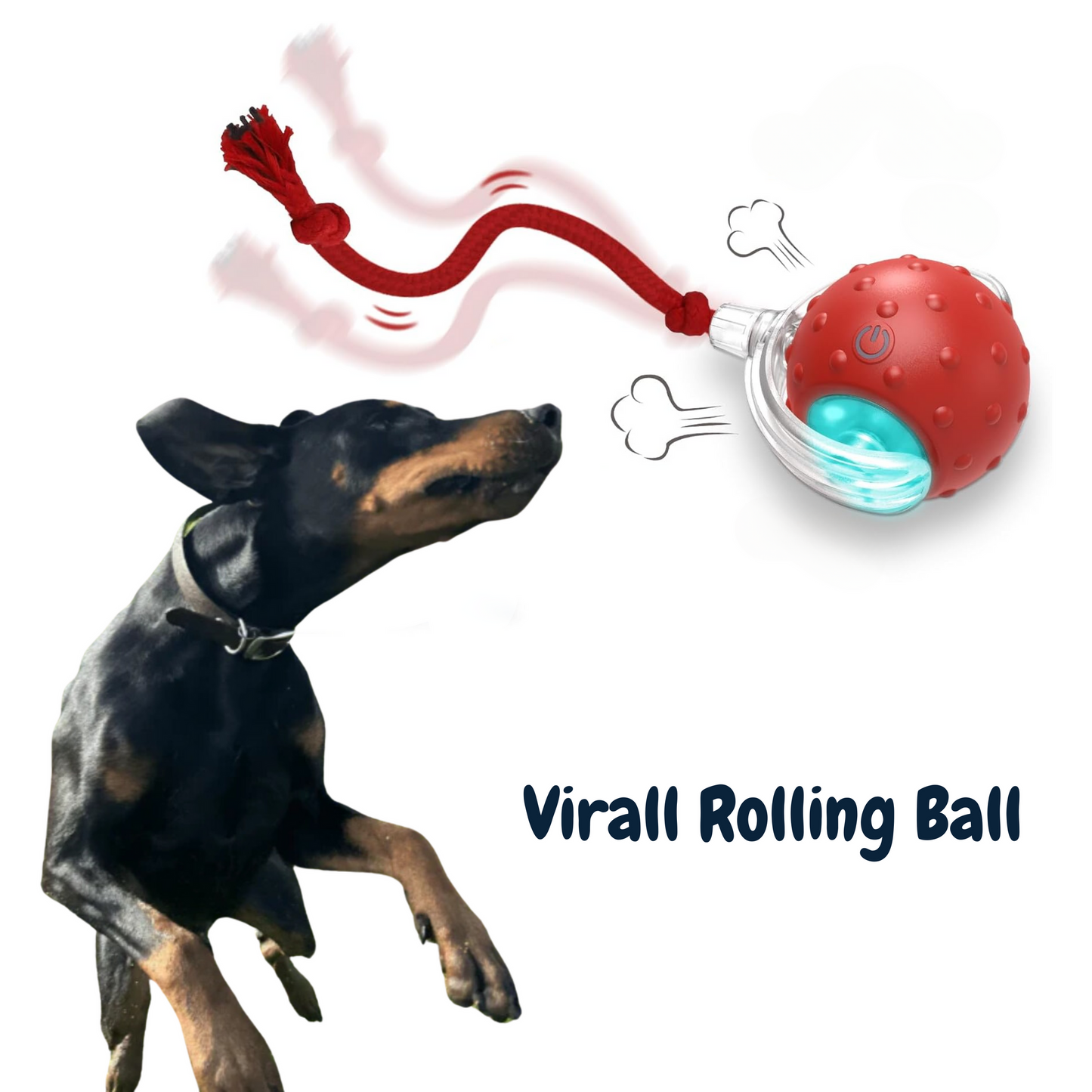 Interaktiver Hundeball